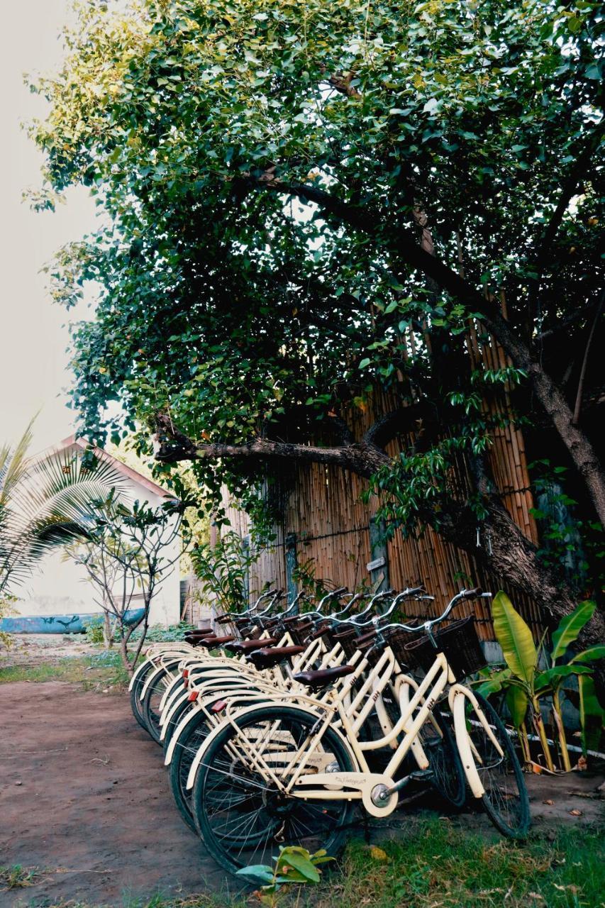 My Gili Paradise Quần đảo Gili Ngoại thất bức ảnh