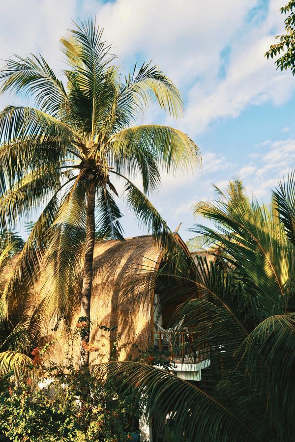 My Gili Paradise Quần đảo Gili Ngoại thất bức ảnh